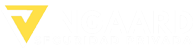 Seguridad Vingaard